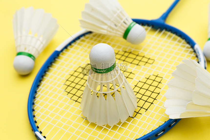 的结论是 的结论是